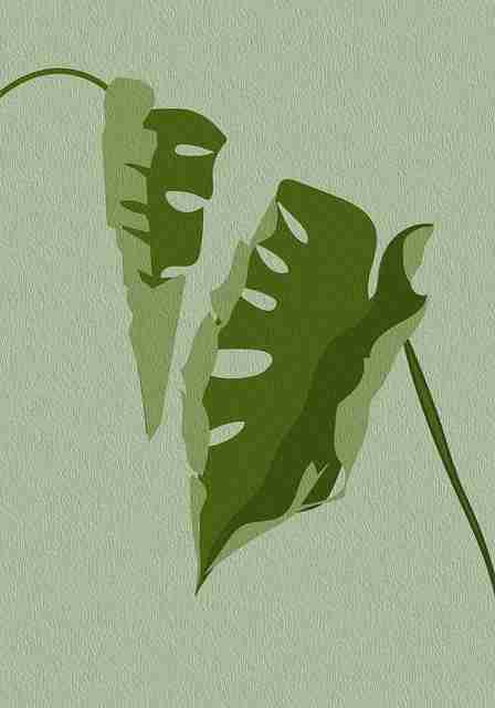 探花拍摄视角突破｜特邀素人首秀实拍感增强