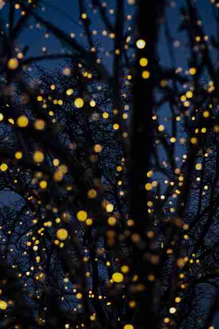 暗网禁地匿名社区趋势｜访问工具评测活跃度持续上升