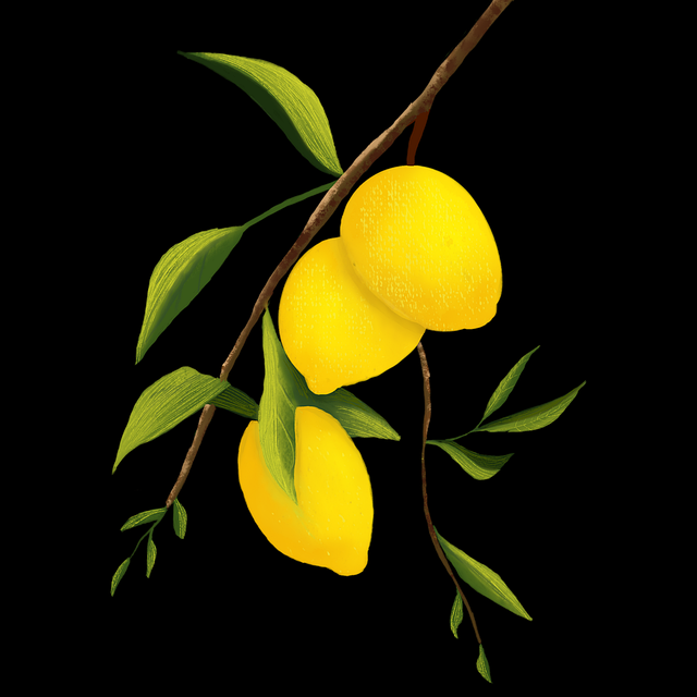 onlyfnas网址功能设置详解｜创作工具功能拓展创作者必备攻略