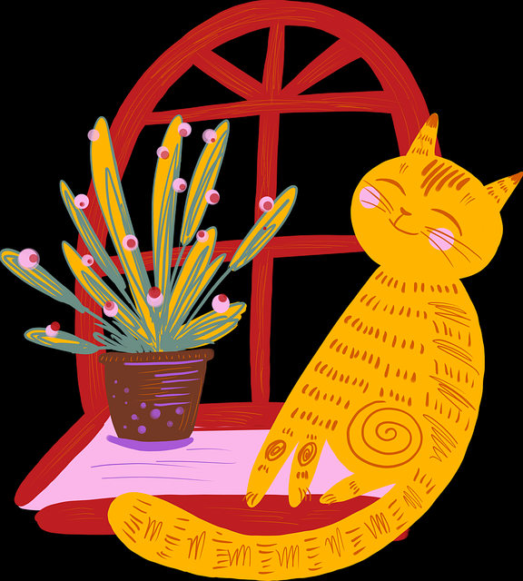 探花应用互动性提升｜观众投票热点用户参与感增强