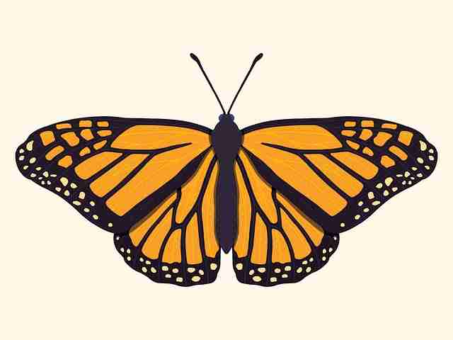 探花视频APP站内独家首发｜恋爱试镜片段题材引热烈讨论