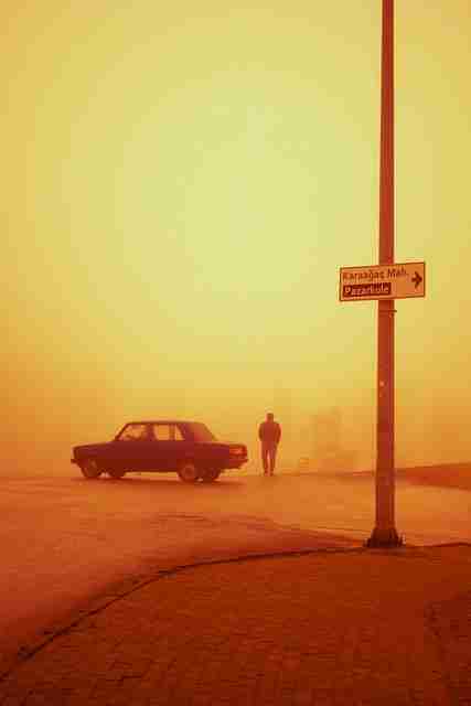 探花视频专属频道上线｜嘉宾互动精彩集锦火速登榜前列