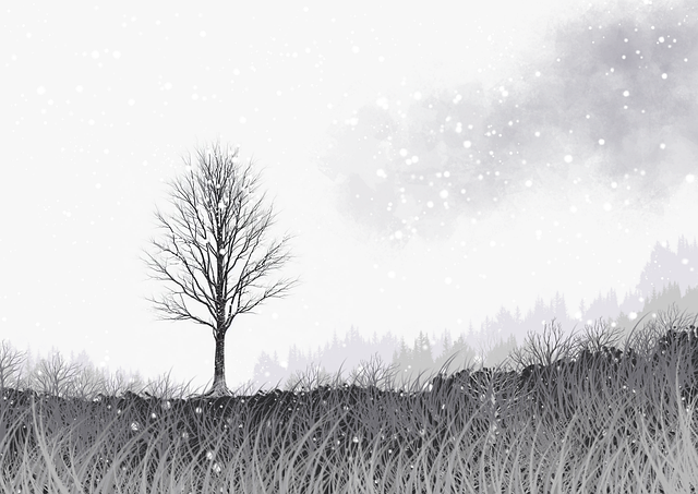 暗网禁地新站点结构解读｜安全隐患警示技术更新前所未有