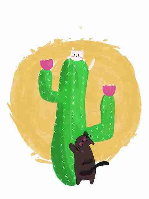 onlyfnas内容多样性分析｜隐私内容防护策略投稿风格全面盘点