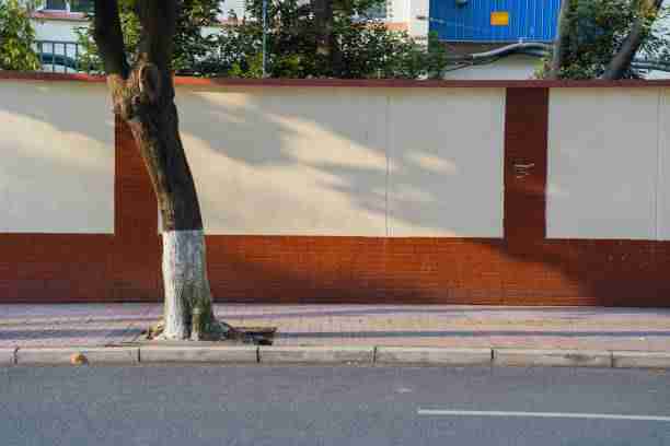 探花互动新玩法｜嘉宾互动精彩集锦打破传统拍摄框架